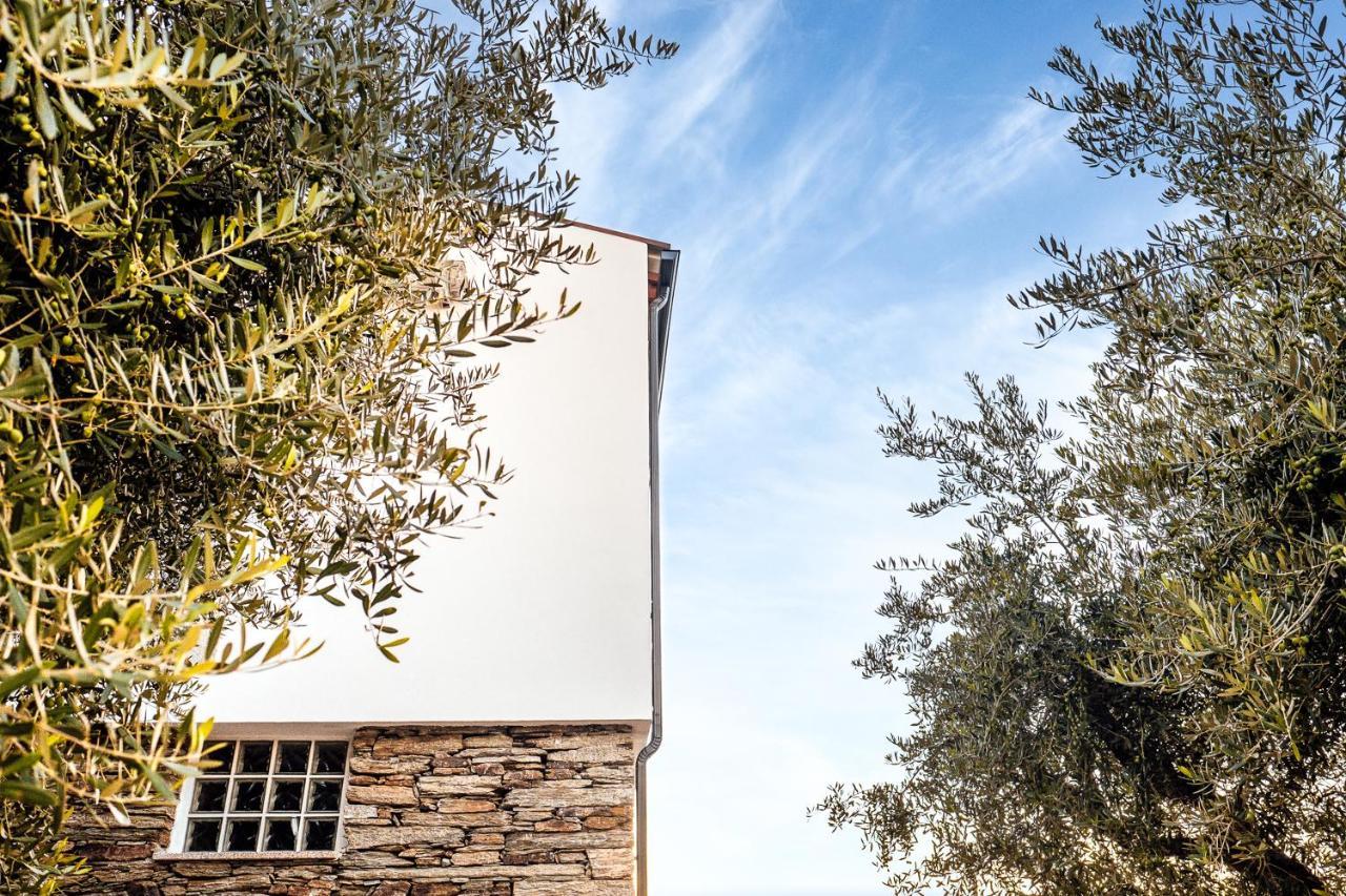 Casa Com Piscina No Coracao Do Douro - Domaine Casa Valenca, Villa Valença do Douro Eksteriør billede